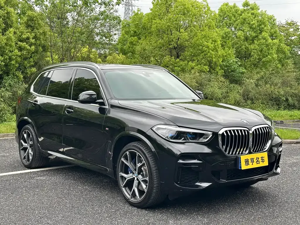 BMW X5 — фото 10