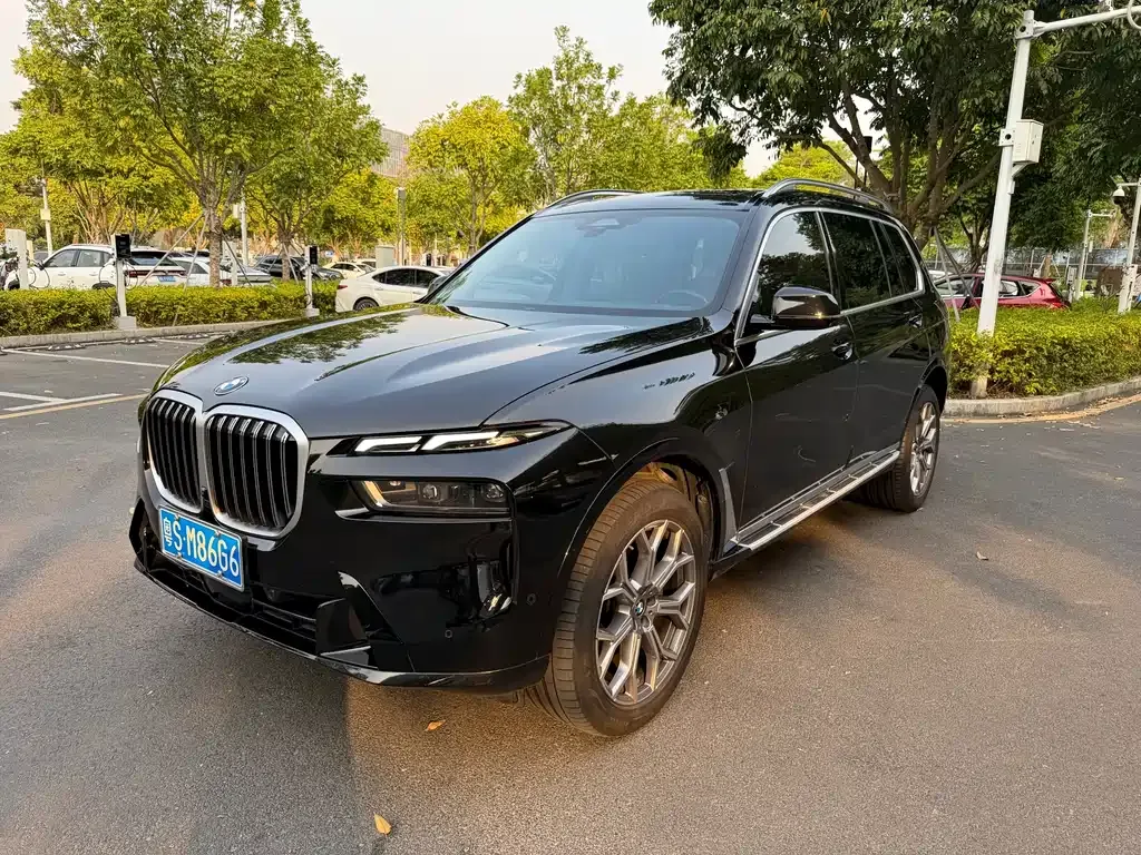 BMW X7 — фото 9