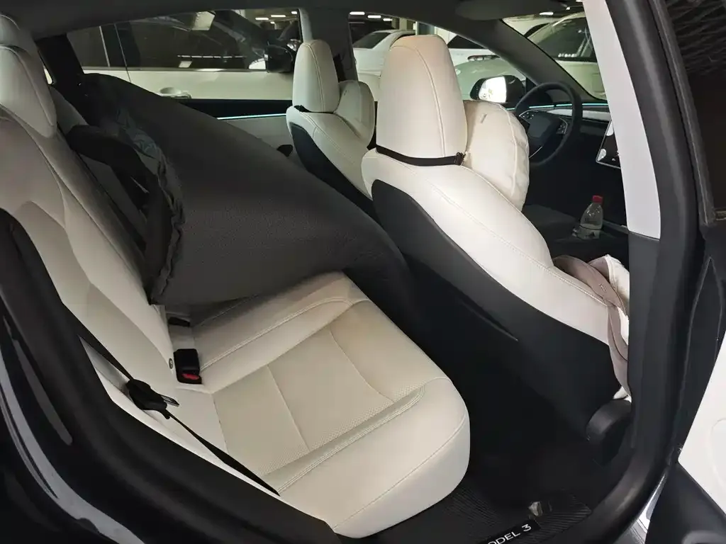 Tesla Model 3 2025 из CN, фото 5
