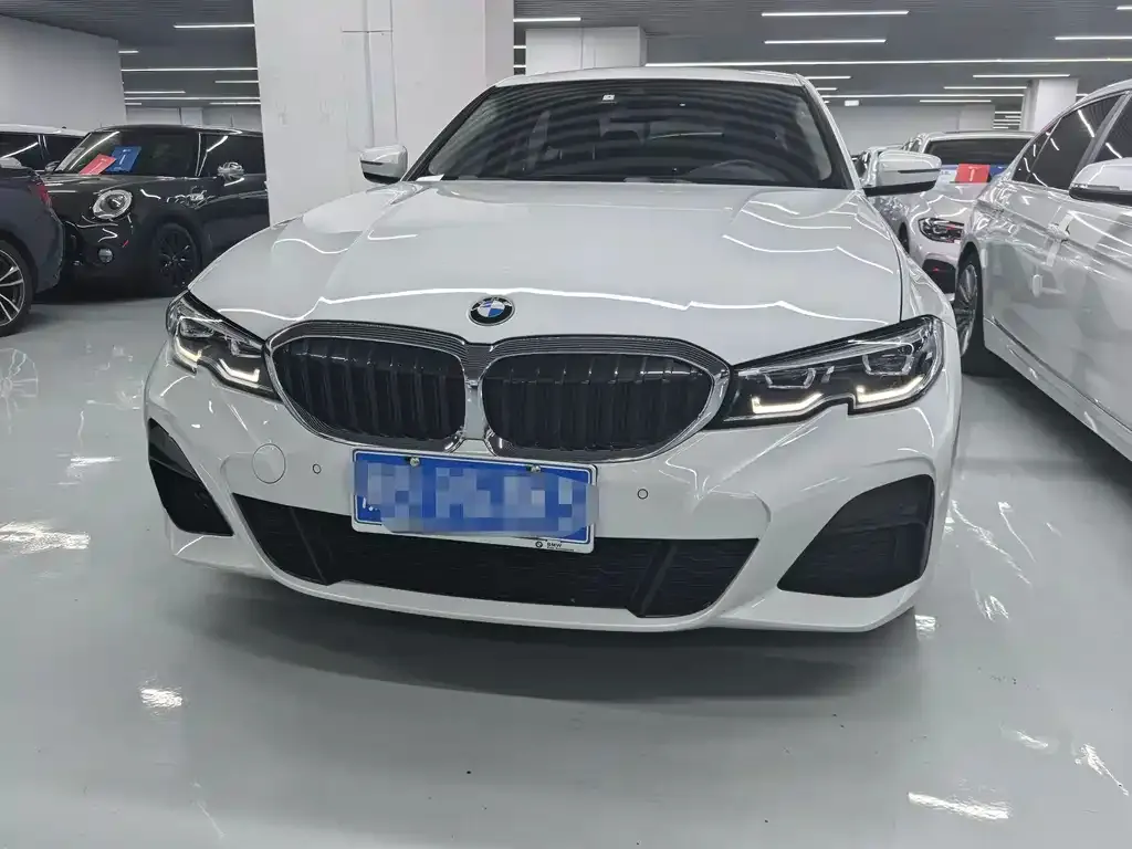 BMW 3 Series 2021 из CN, фото 7