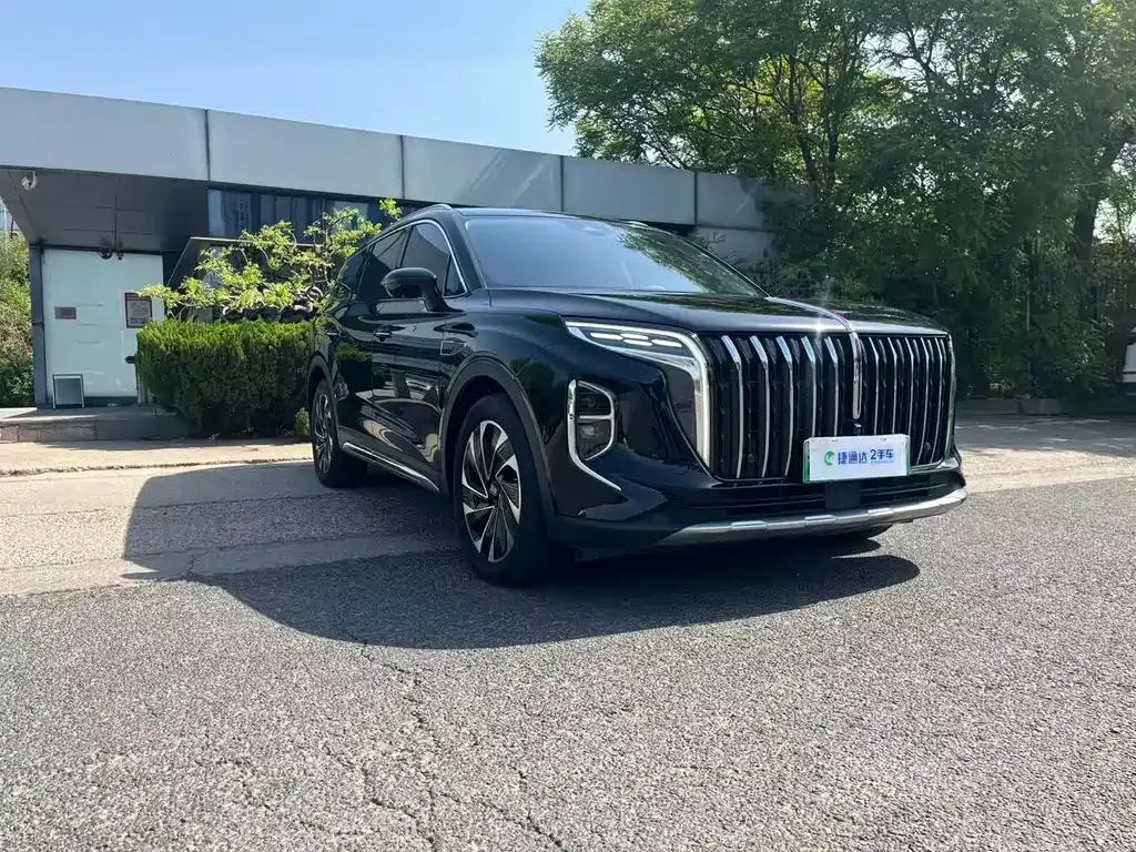 Hongqi HS7 PHEV 2024 из CN, фото 8