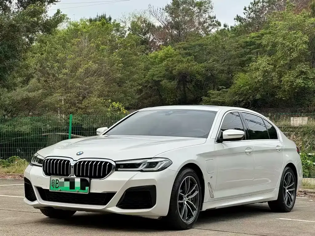 BMW 5 Series New Energy 2021 из CN, фото 1