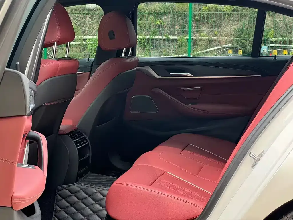 BMW 5 Series New Energy 2021 из CN, фото 4