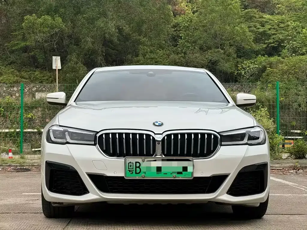 BMW 5 Series New Energy 2021 из CN, фото 10