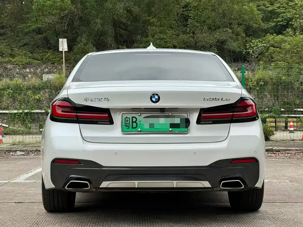 BMW 5 Series New Energy 2021 из CN, фото 9