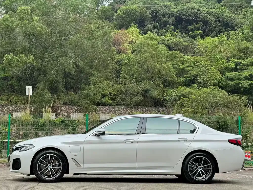 BMW 5 Series New Energy 2021 из CN, фото 8