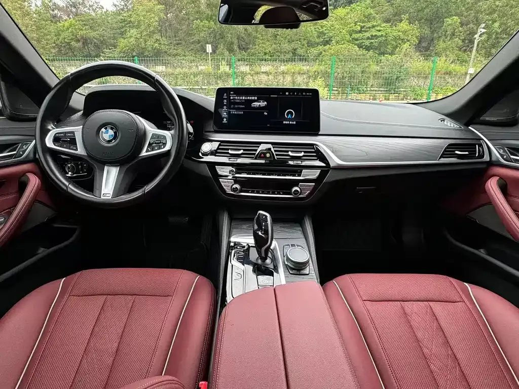 BMW 5 Series New Energy 2021 из CN, фото 7