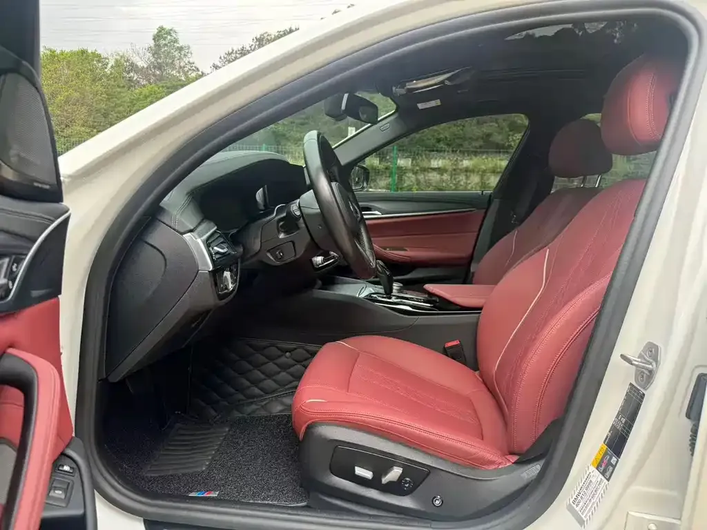 BMW 5 Series New Energy 2021 из CN, фото 2