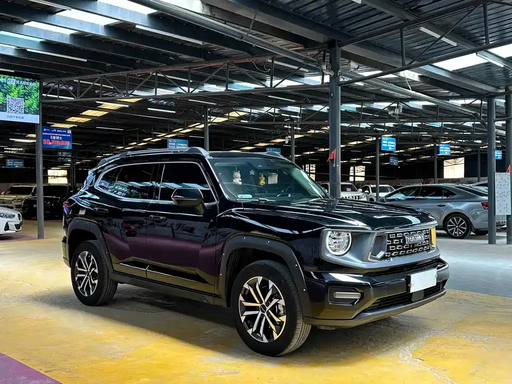Haval H7 (Big Dog Plus) — фото 10