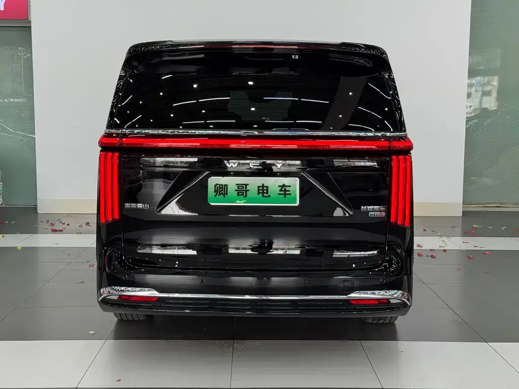 Wey Gaoshan 2025 из CN, фото 2