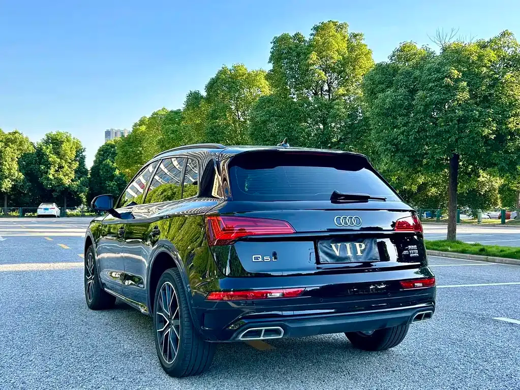 Audi Q5L 2024 из CN, фото 6