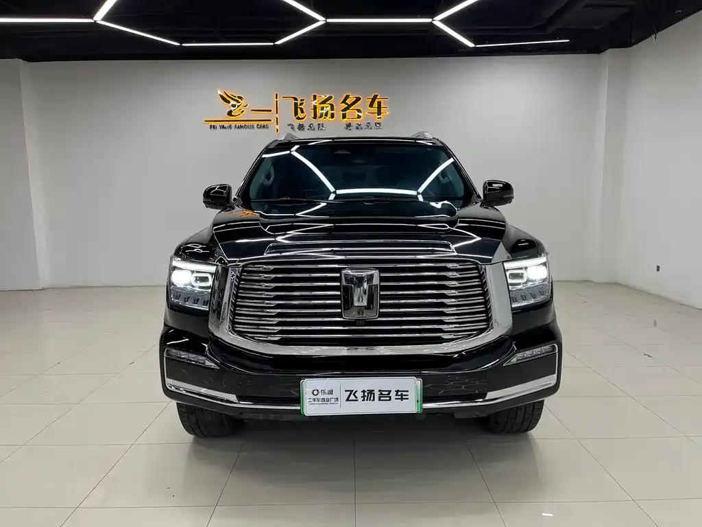 Tank 500 New Energy 2023 из CN, фото 6