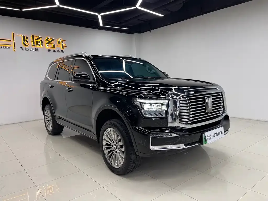 Tank 500 New Energy 2023 из CN, фото 9
