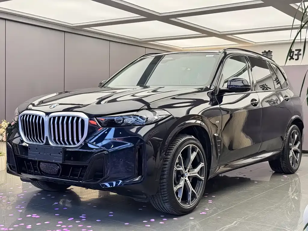 BMW X5 2025 из CN, фото 1