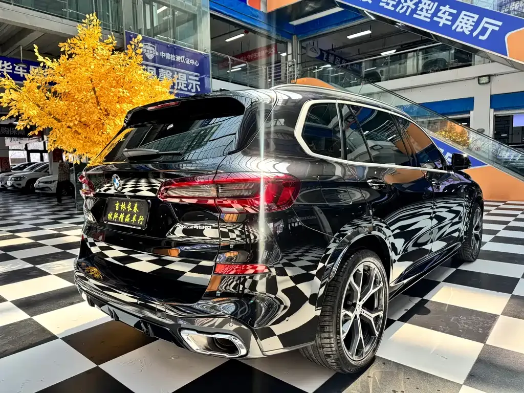 BMW X5 — фото 10