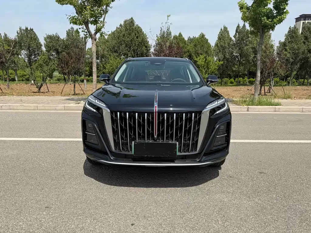 Hongqi HS3 PHEV 2024 из CN, фото 9