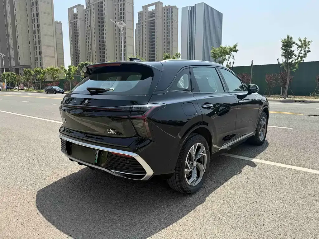 Hongqi HS3 PHEV 2024 из CN, фото 7