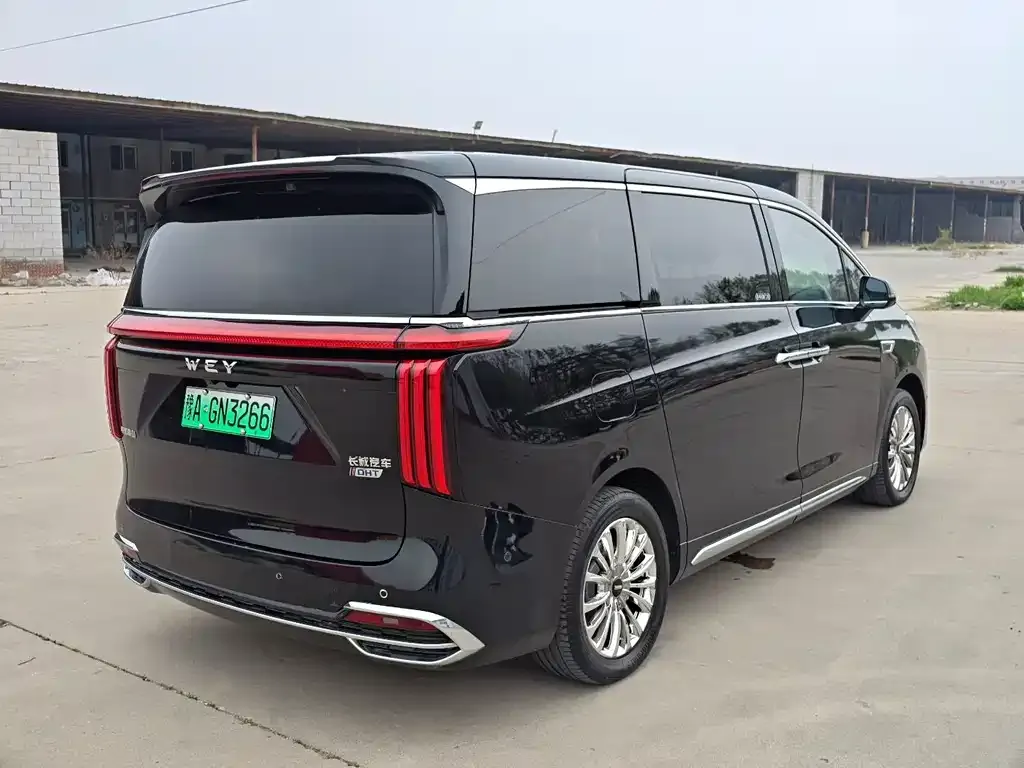 Wey Gaoshan 2025 из CN, фото 8