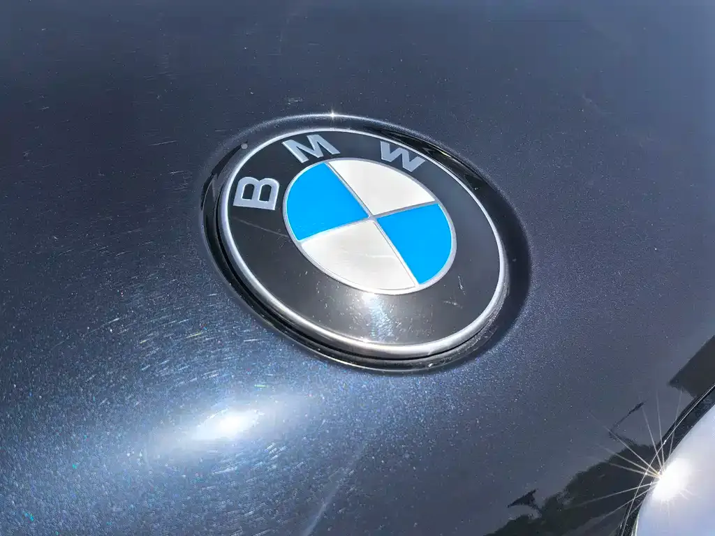 BMW X5 — фото 5