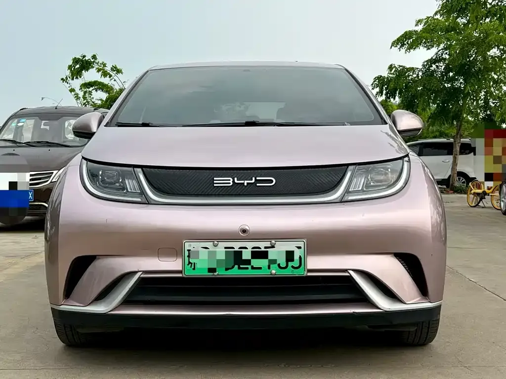 BYD Dolphin 2023 из CN, фото 6