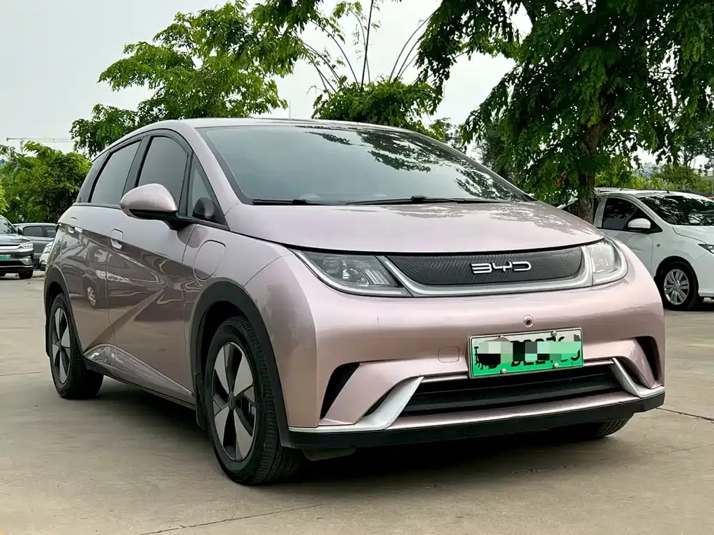 BYD Dolphin 2023 из CN, фото 9