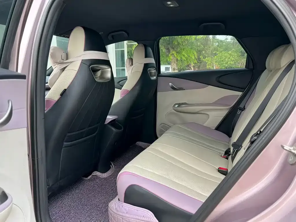 BYD Dolphin 2023 из CN, фото 2