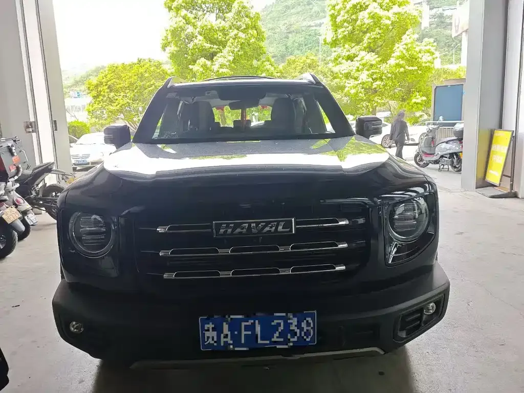 Haval Big Dog — фото 4