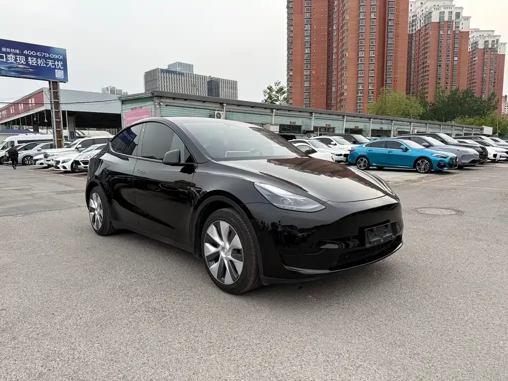 Tesla Model Y — фото 9
