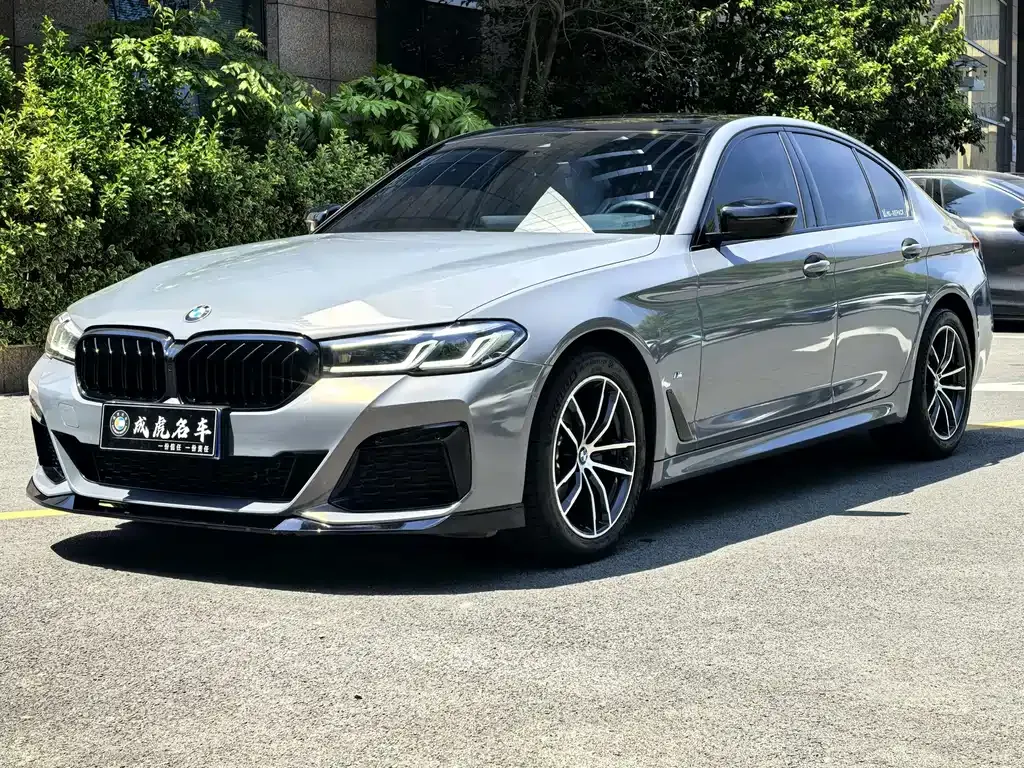BMW 5 Series (Import)
