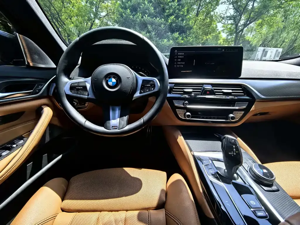 BMW 5 Series (Import) 2021 из CN, фото 3