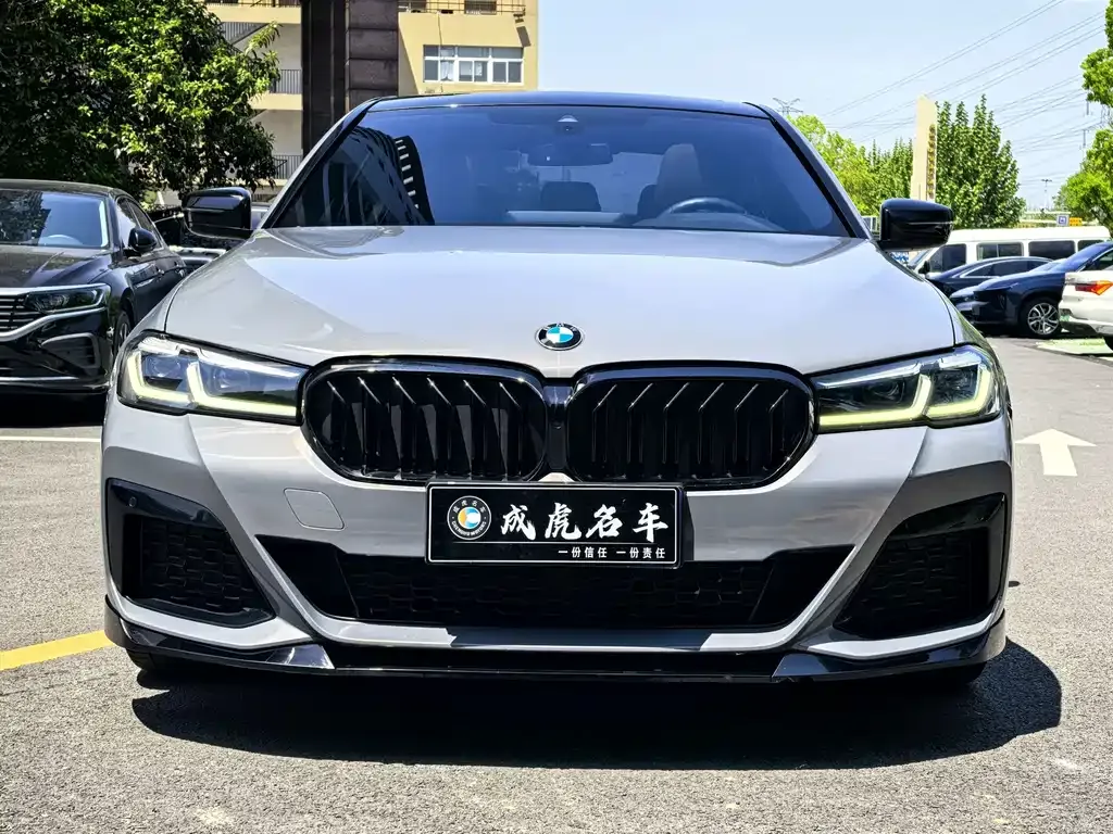 BMW 5 Series (Import) 2021 из CN, фото 6
