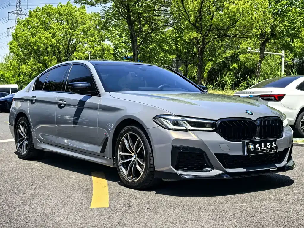 BMW 5 Series (Import) 2021 из CN, фото 8