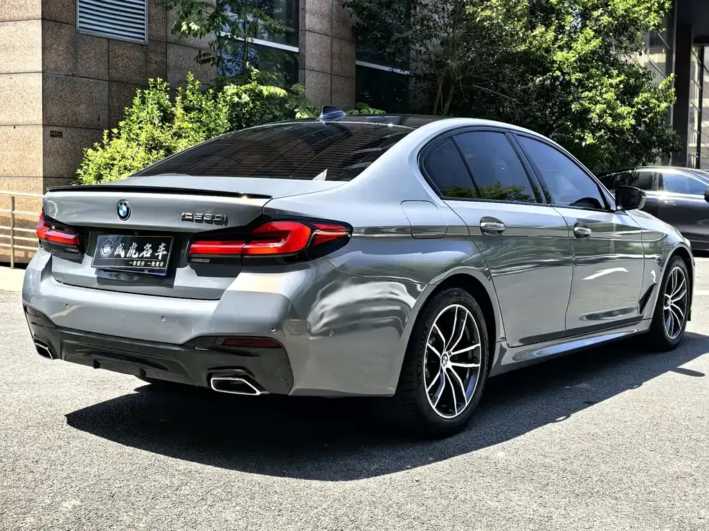 BMW 5 Series (Import) 2021 из CN, фото 4