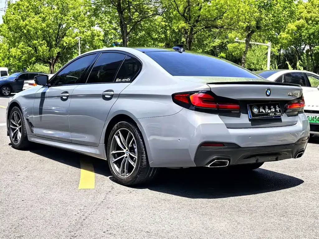 BMW 5 Series (Import) 2021 из CN, фото 10