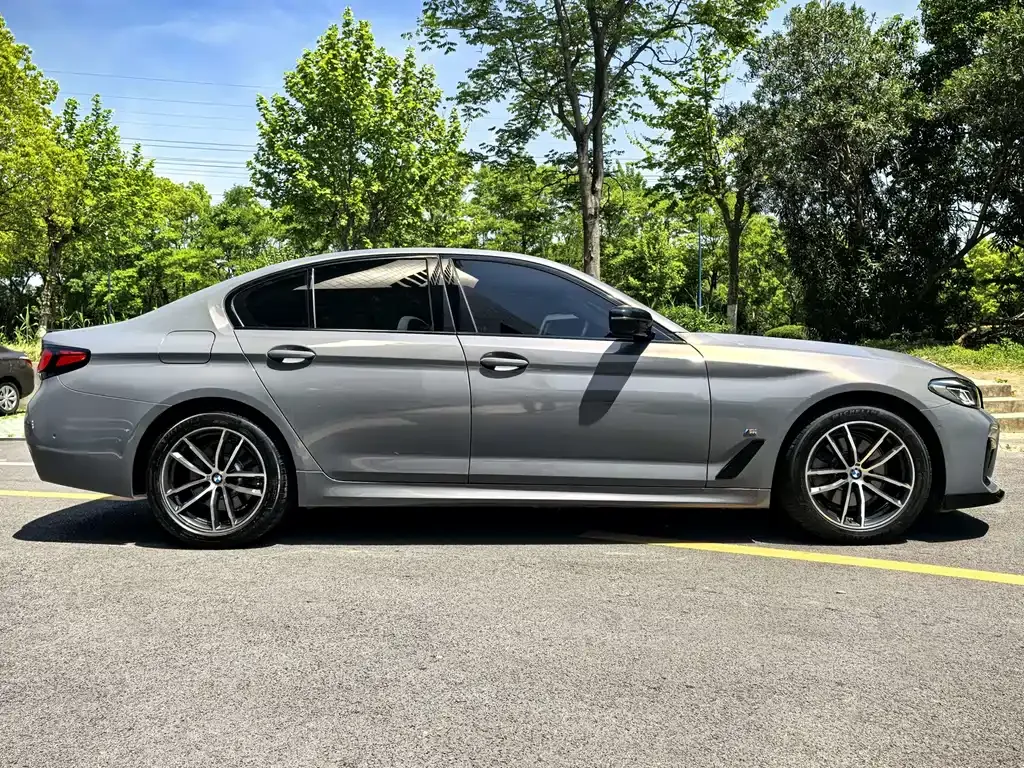 BMW 5 Series (Import) 2021 из CN, фото 9