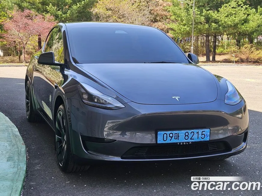 Tesla Model Y 2025 из KR, фото 9