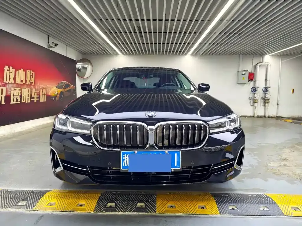 BMW 5 Series 2023 из CN, фото 6