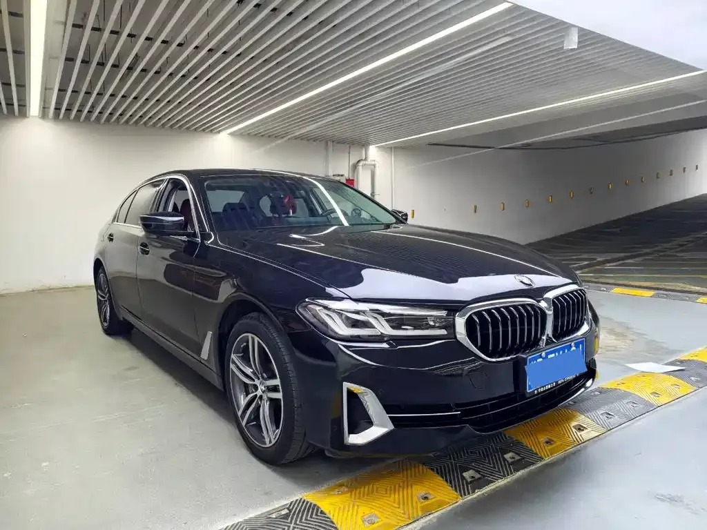 BMW 5 Series 2023 из CN, фото 7