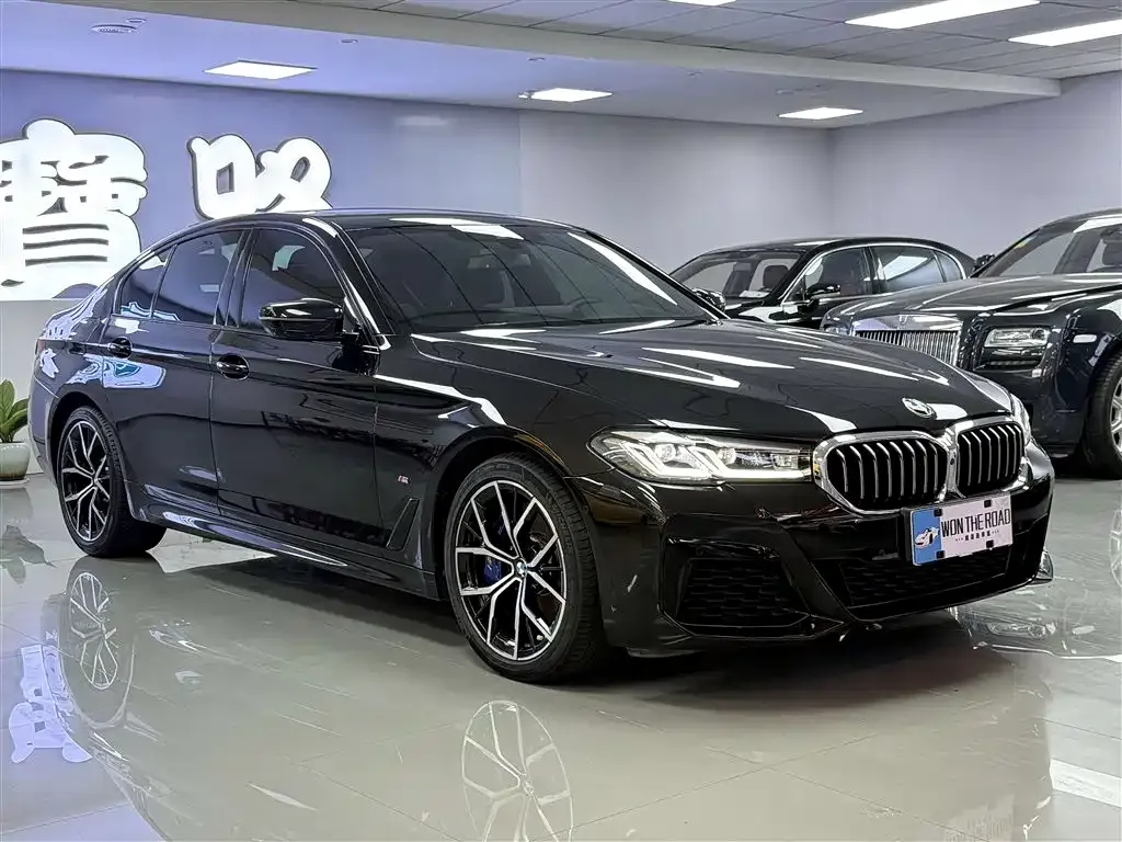 BMW 5 Series (Import) 2023 из CN, фото 10