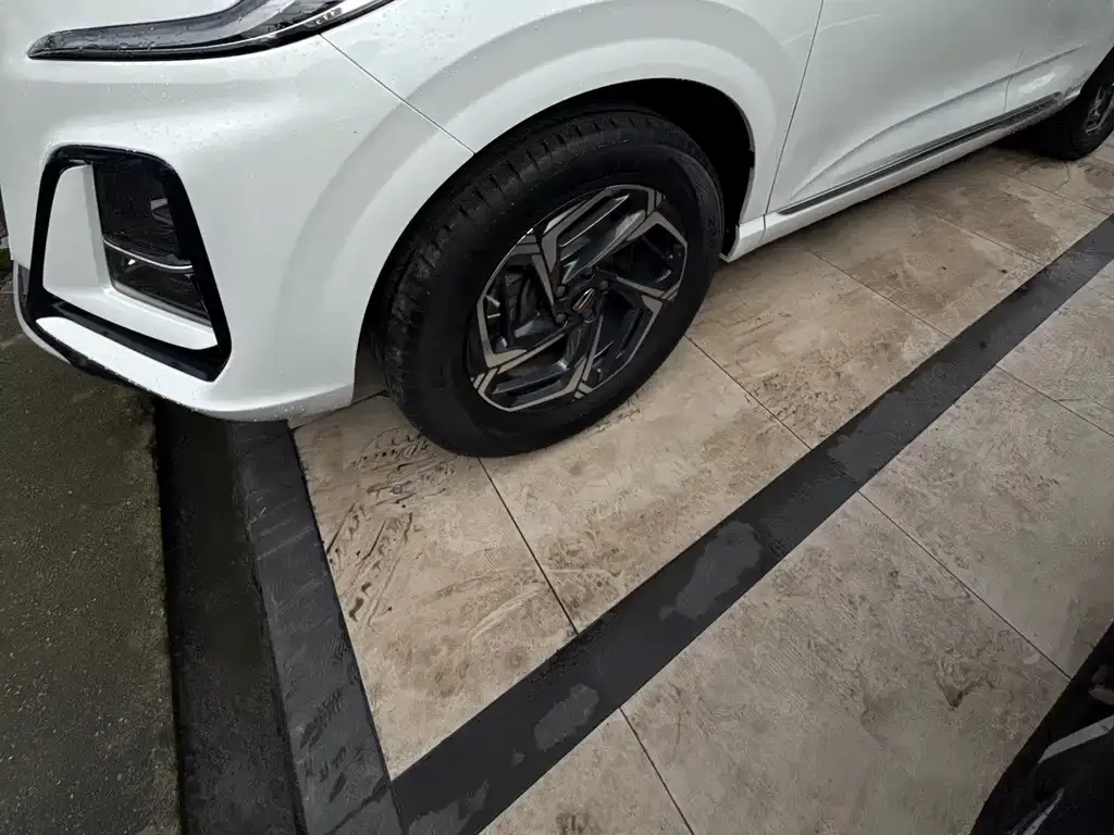Hongqi HS3 2024 из CN, фото 9