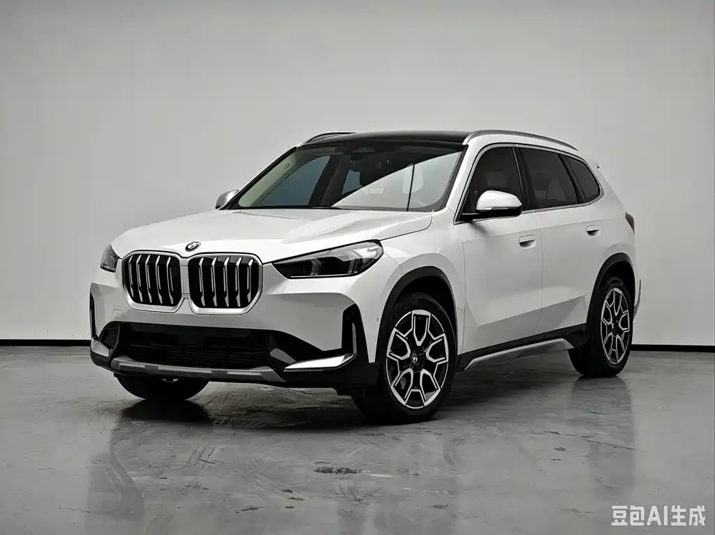 BMW X1 — фото 1