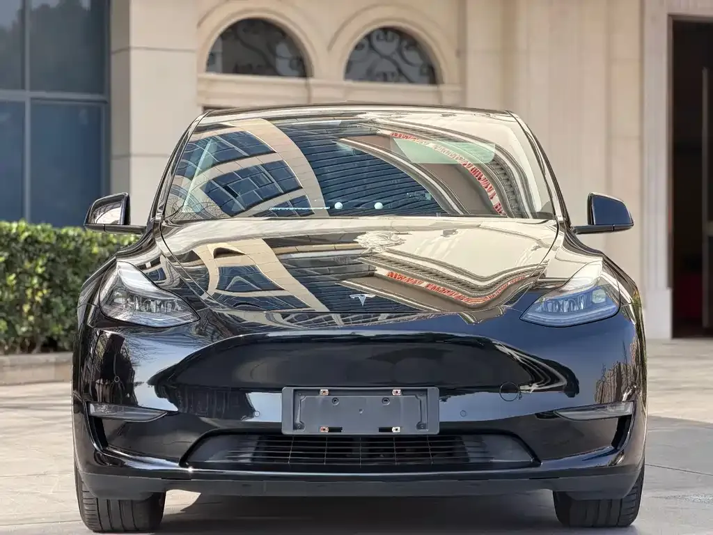 Tesla Model Y — фото 9