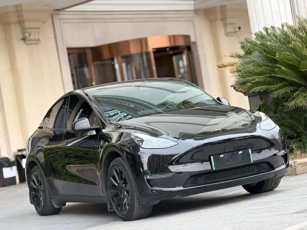 Tesla Model Y — фото 8