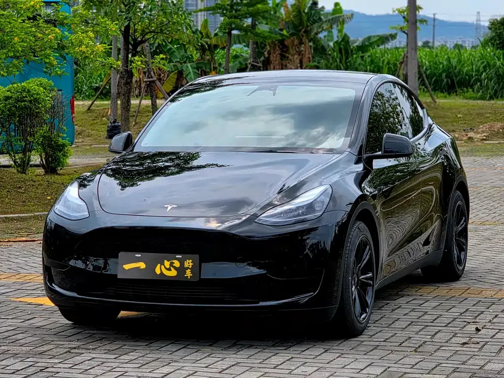 Tesla Model Y — фото 1