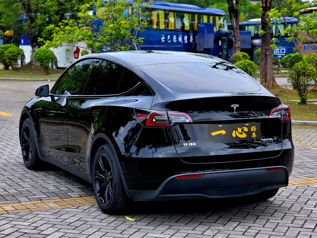 Tesla Model Y — фото 10