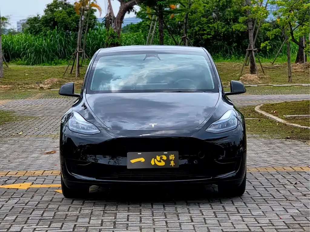 Tesla Model Y — фото 8