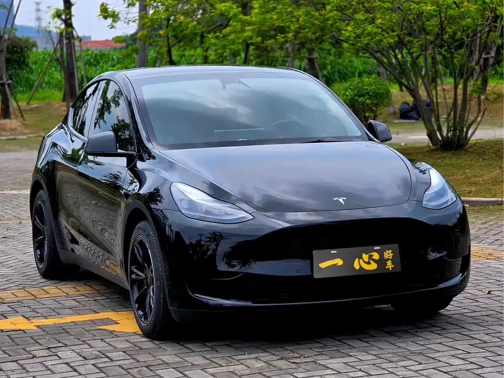 Tesla Model Y — фото 6