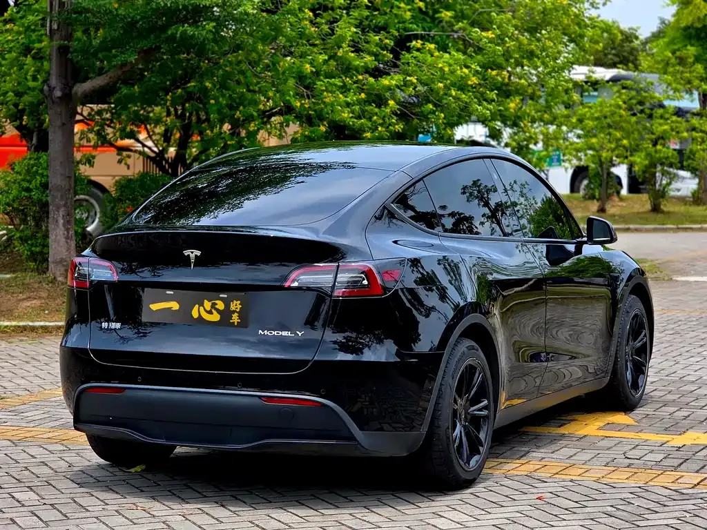 Tesla Model Y — фото 9