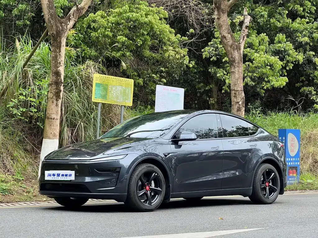 Tesla Model Y — фото 1