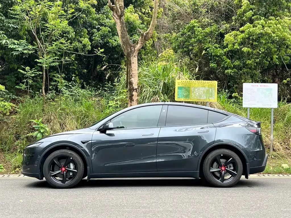 Tesla Model Y — фото 8